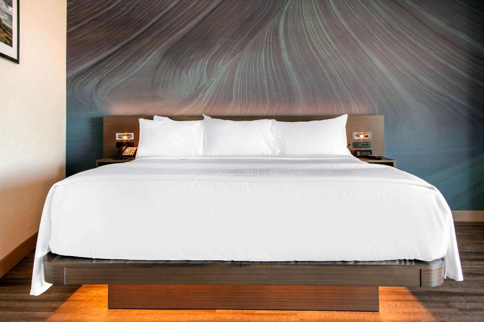Cambria Hotel Phoenix - North Scottsdale Exterior photo